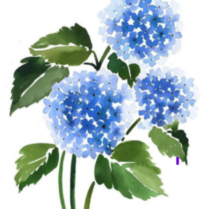 Adult Painting watercolor Introduction Tuesday